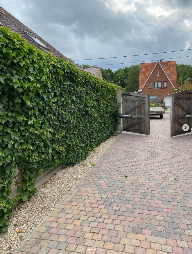 Oprit met groene haag, project Mud Hunter Projects